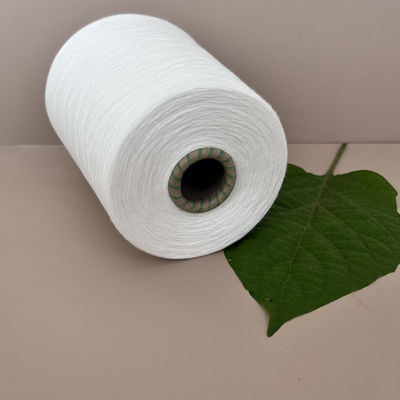 Rayon à l'anneau blanc 50% fil de viscose 30S/1 300D pour original 30F vierge 20S tricoté à chaud