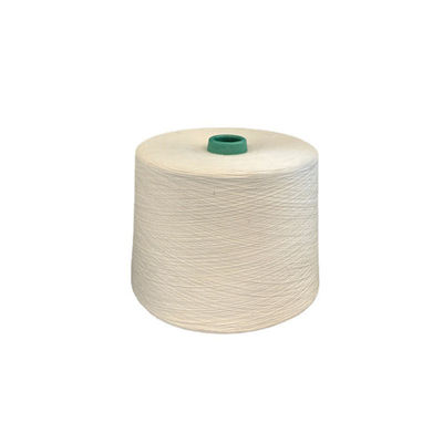 Fils de fibres visqueuses de haute continuité de 120D/2 et de 300D en polyester O/E
